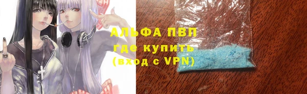 сатива Алексеевка