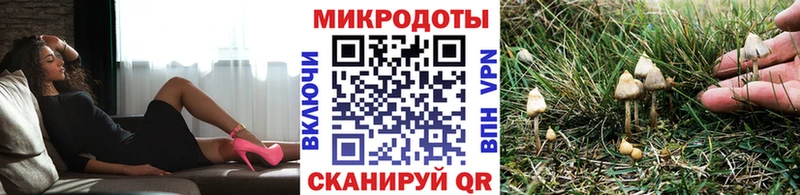 мориарти формула  Таштагол  Галлюциногенные грибы Psilocybine cubensis 